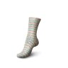 Пряжа Regia Cotton Color 02415
